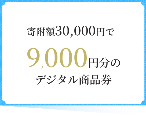 �񕍊z30,000�~��9,000�~���̃f�W�^�����i��