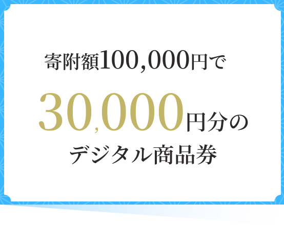 �񕍊z100,000�~��30,000�~���̃f�W�^�����i��