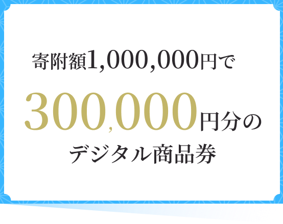 �񕍊z1,000,000�~��300,000�~���̃f�W�^�����i��