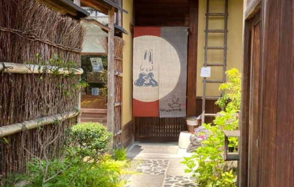 「卯サギの一歩」の写真