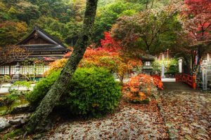 紅葉が美しい龍泉寺
