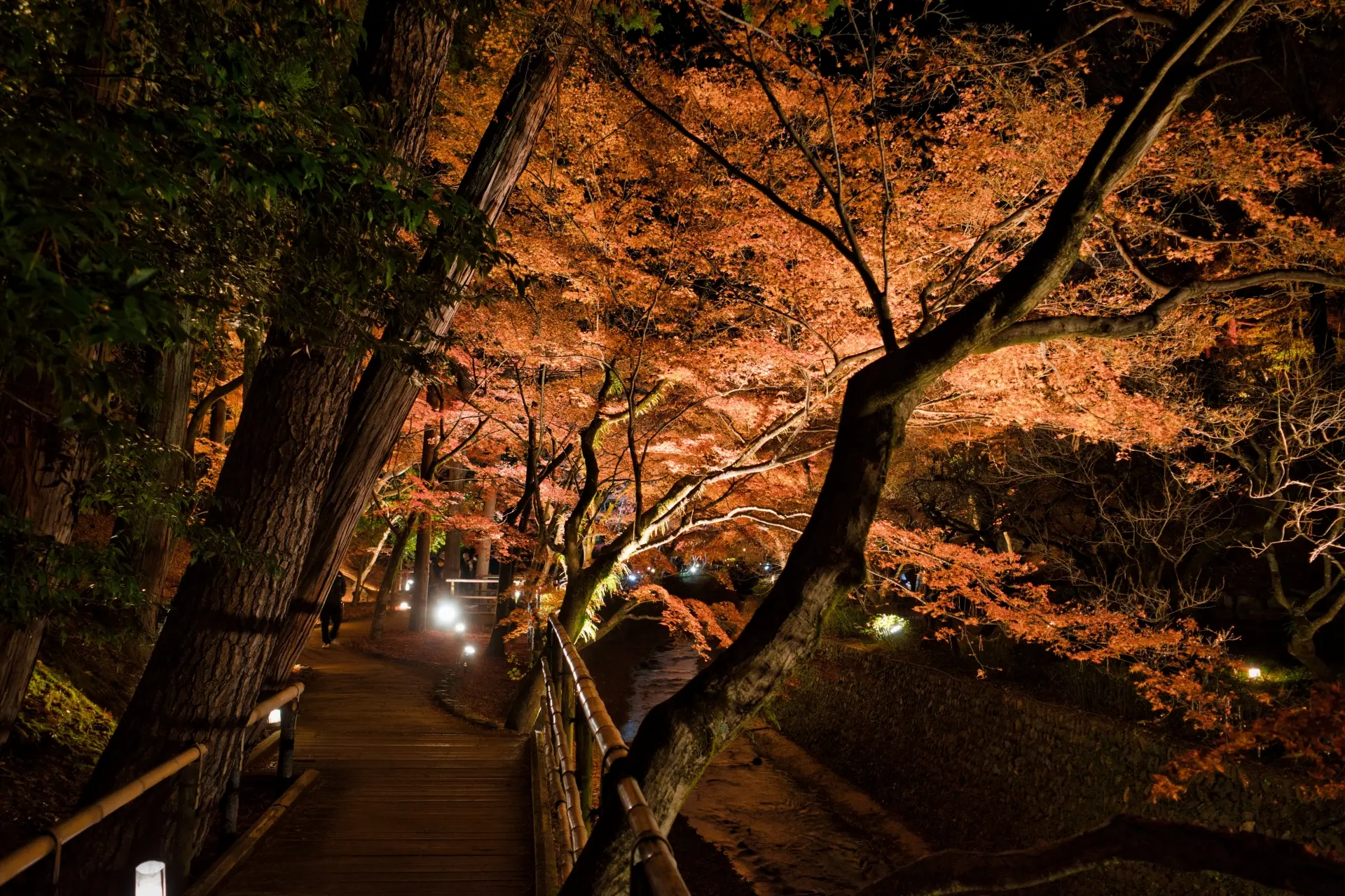 紅葉の道
