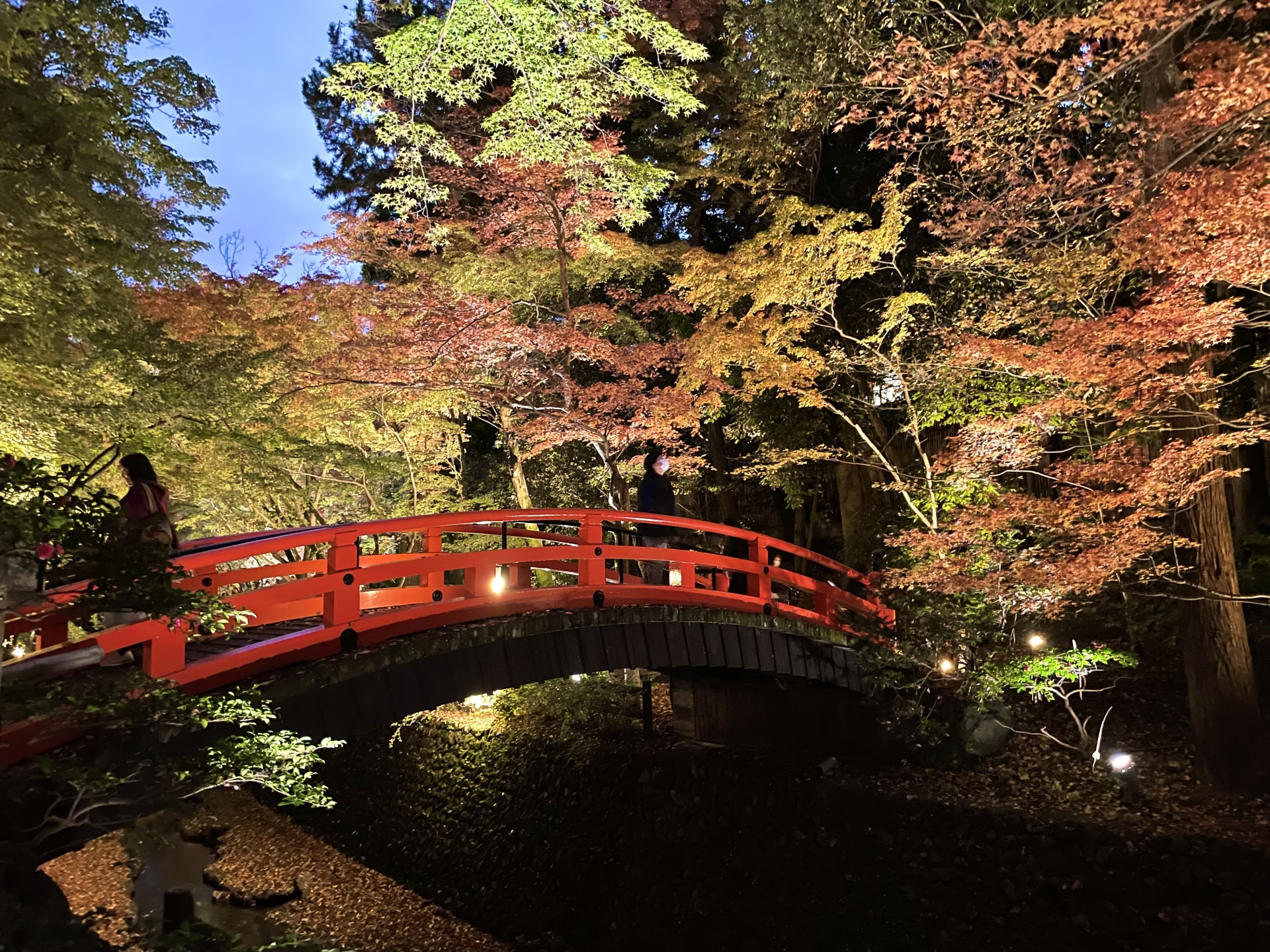 紙屋川の水面に映る紅葉