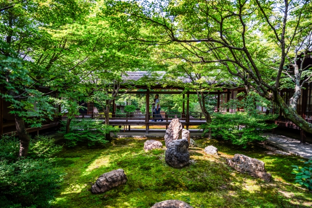 京都建仁寺の景色