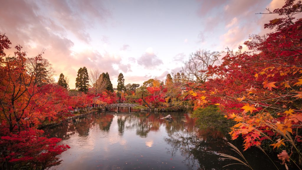 京都永観堂の紅葉風景