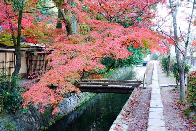 哲学の道の紅葉