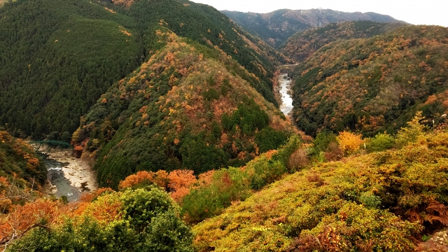 嵐山-高雄パークウエイの紅葉