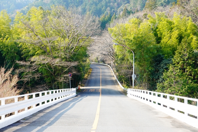 嵐山-高雄パークウエイの自動車入口