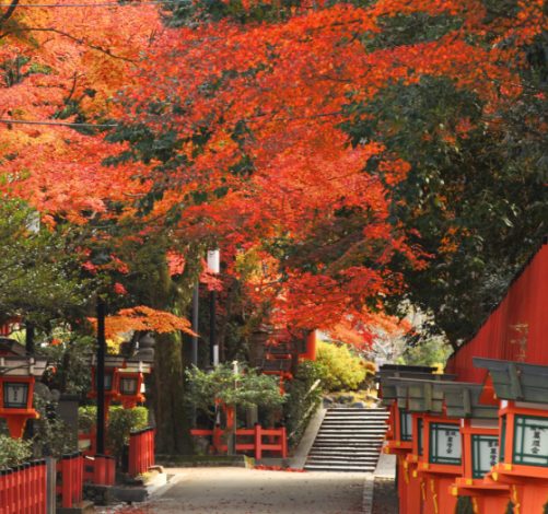 2025年】八坂神社の紅葉情報！見頃・見どころ・周辺スポットもご紹介