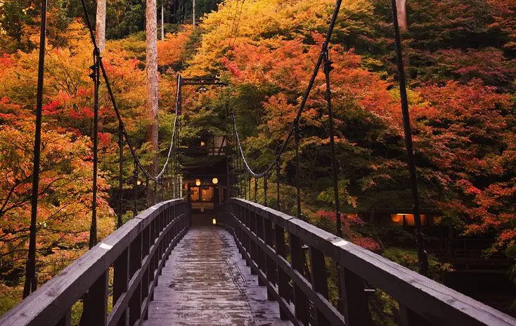 京都紅葉ホテル