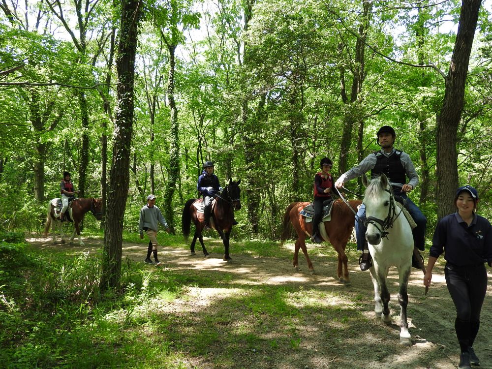 ホーストレックでの乗馬風景