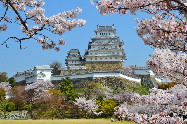 三の丸広場から見る桜