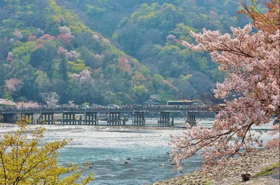 渡月橋の画像