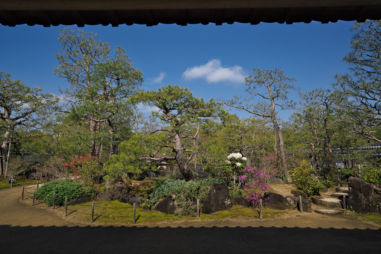姫路城西御屋敷跡庭園 好古園