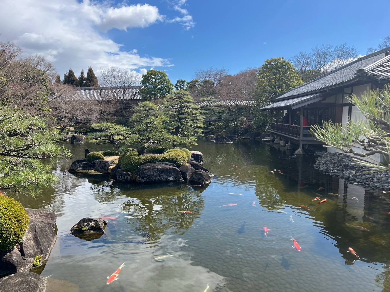 好古園内の庭