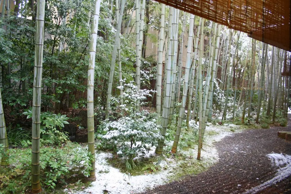 美濃吉本店 竹茂楼の庭園
