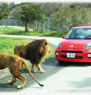 姫路セントラルパークの割引情報