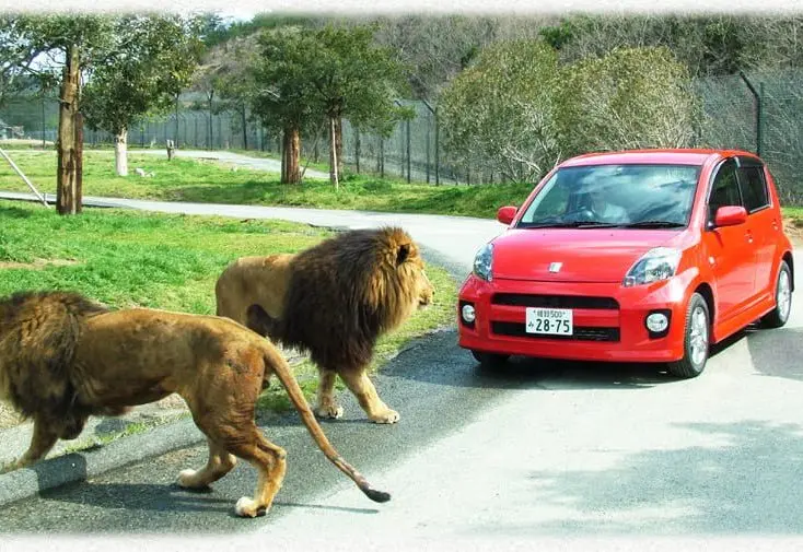 姫路セントラルパークの割引情報