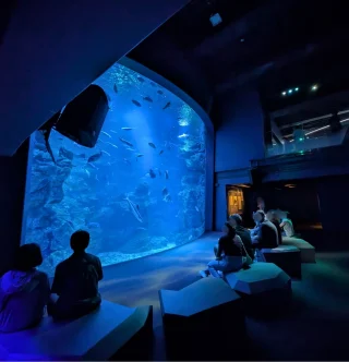 京都水族館 内観
