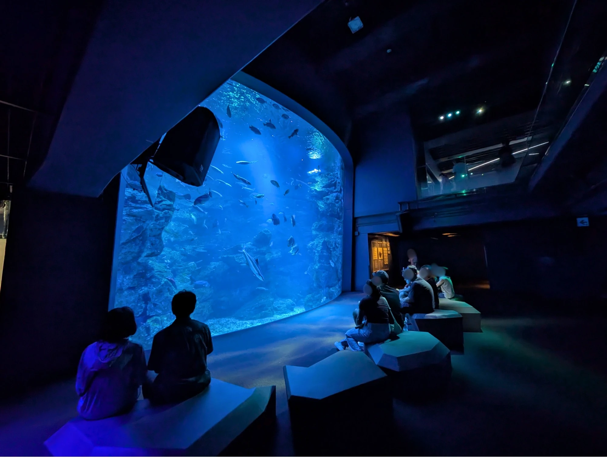 関西おでかけ納税プレミアム 京都水族館